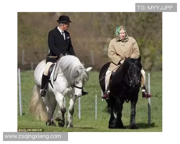 伯顿与女王训游的精彩对决揭示了骑马运动的魅力与挑战