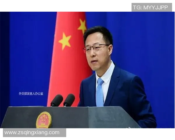 赖斯的崛起与影响力探讨：从学术界到政坛的多维视角分析